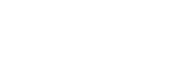 Il Giovane Berlusconi logo