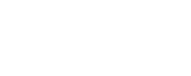 Il Giovane Berlusconi logo