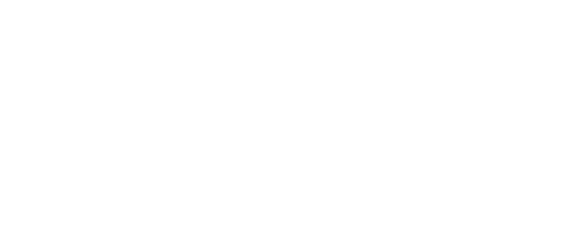 Hidden Love logo