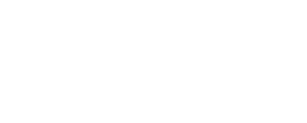 Hayabusa Fire Brigade logo
