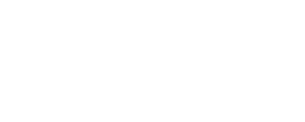 Miraculous Brothers logo