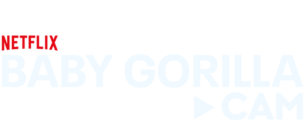Baby Gorilla Cam logo