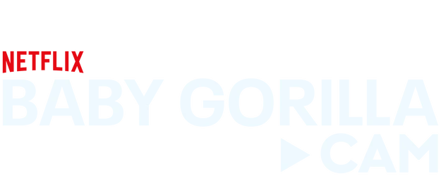 Baby Gorilla Cam logo