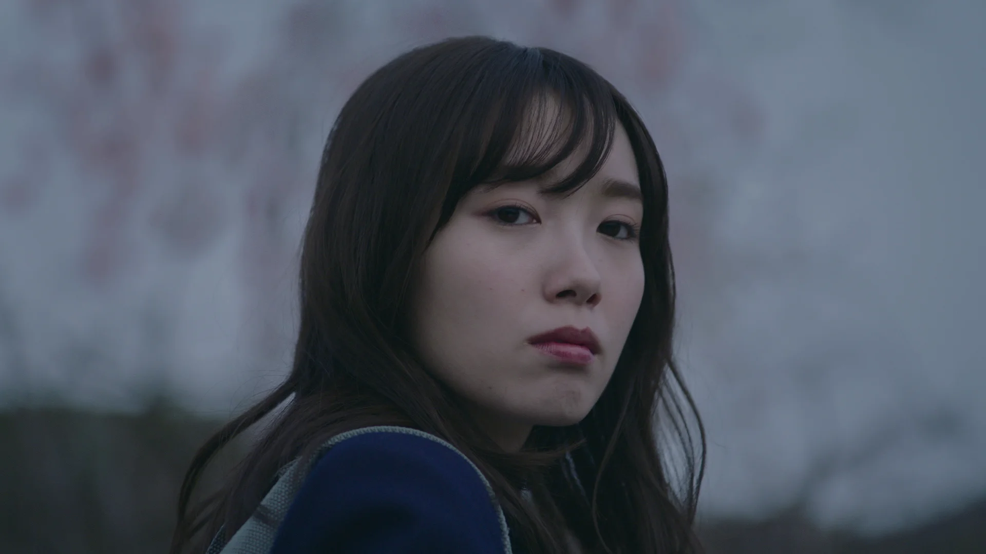 Until The Cherry Blossom Falls
