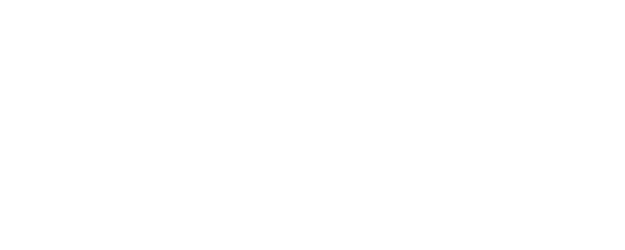 Dr. Storks logo