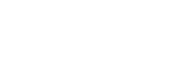 Dr. Storks logo