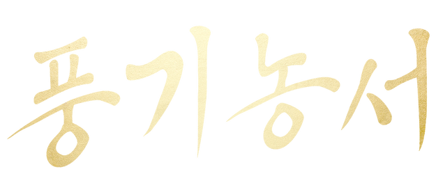 The Wind Blows From Longxi logo