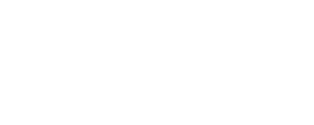 The Sunflower Disappeared In The Rain logo