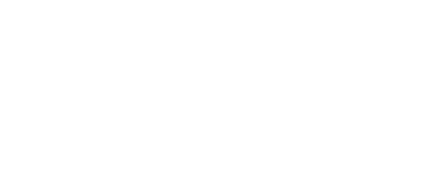 The Sunflower Disappeared In The Rain logo