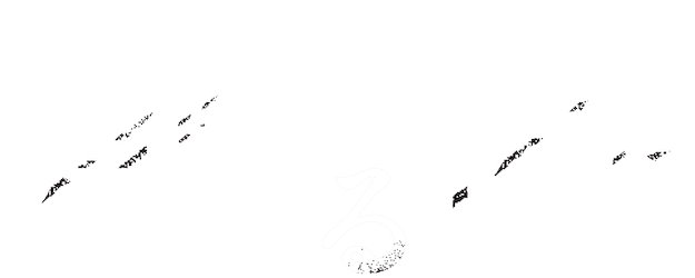 On a Starry Night logo