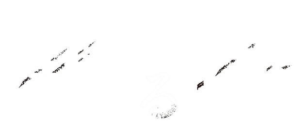 On a Starry Night logo