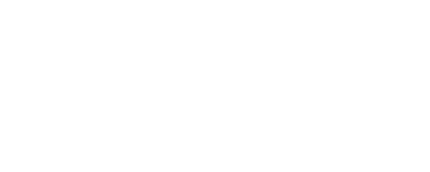 Small, Slow But Steady logo