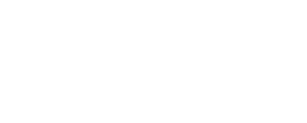 Small, Slow But Steady logo