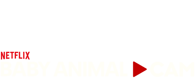 Baby Animal Cam logo