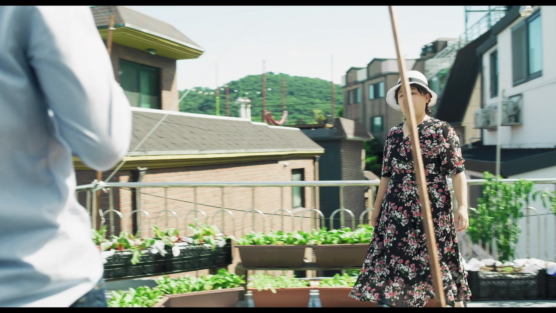 Made on the Rooftop