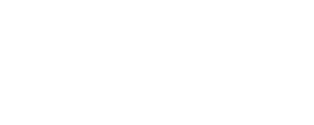 The Breaking Ice logo