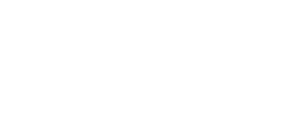The Buriti Flower logo