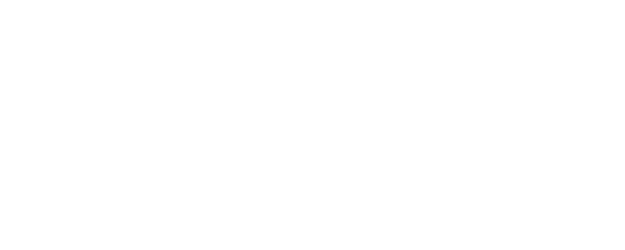 Our Fake Marriage logo