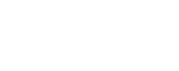Our Fake Marriage logo