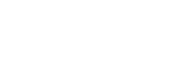 Polis Evo 3 logo