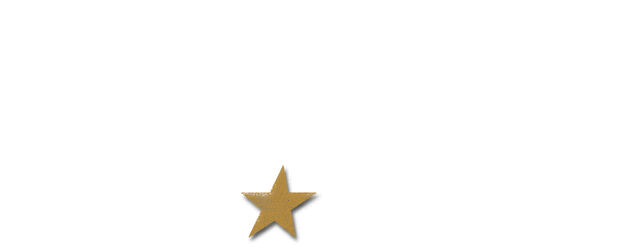 Wild Heroes logo