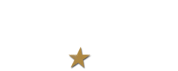 Wild Heroes logo