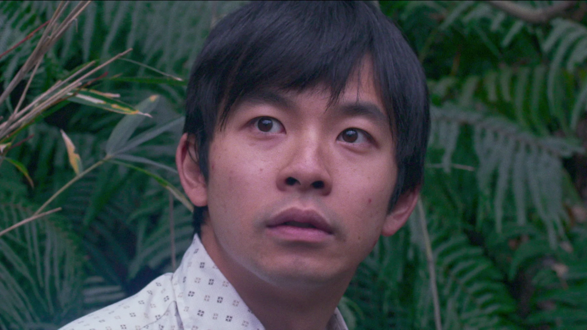 Onoda: 10, 000 Nights in the Jungle
