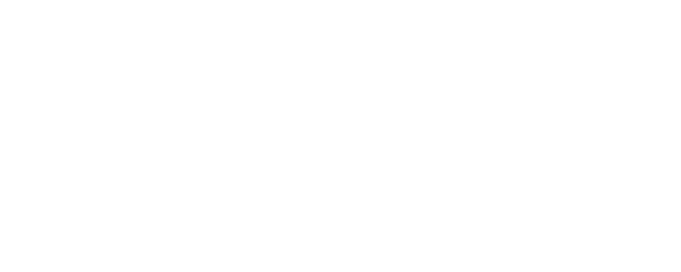 The Brazilian Holocaust logo