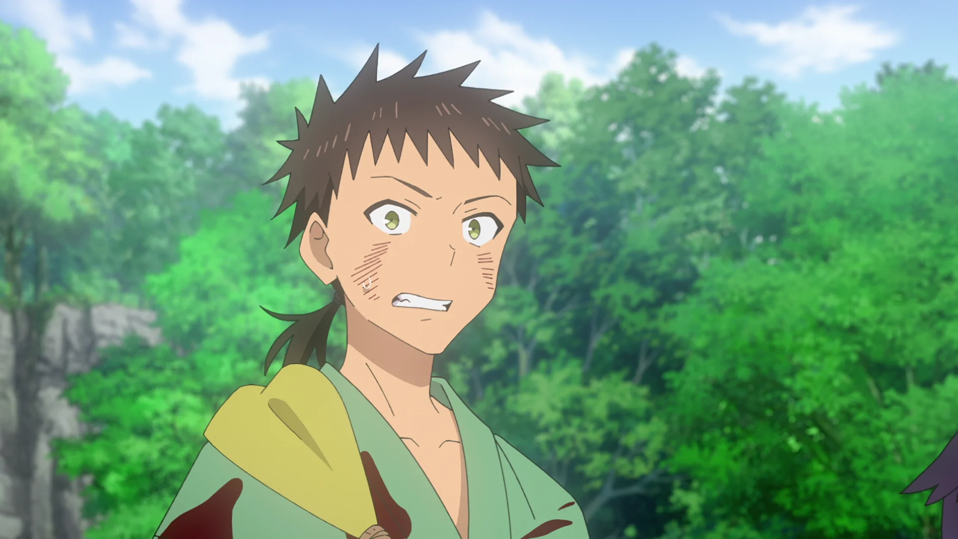 Sengoku Youko