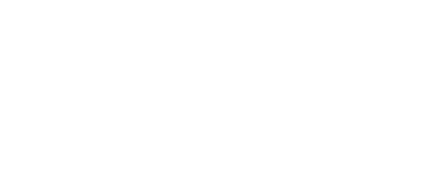 Slingshot logo