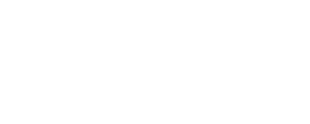 Slingshot logo