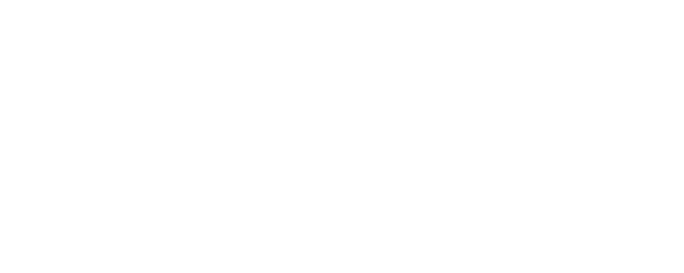 Cobweb logo