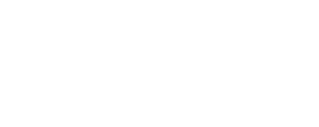 Lost in Perfection logo