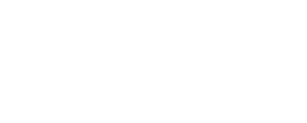 The Delivery Rider logo