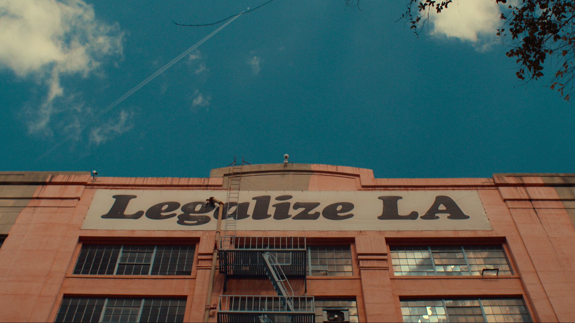 Trainwreck: The Cult of American Apparel