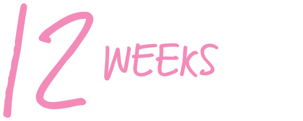 12 Weeks logo