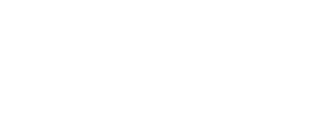 Brothers in Arms logo
