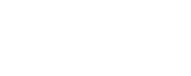 Night Swim logo