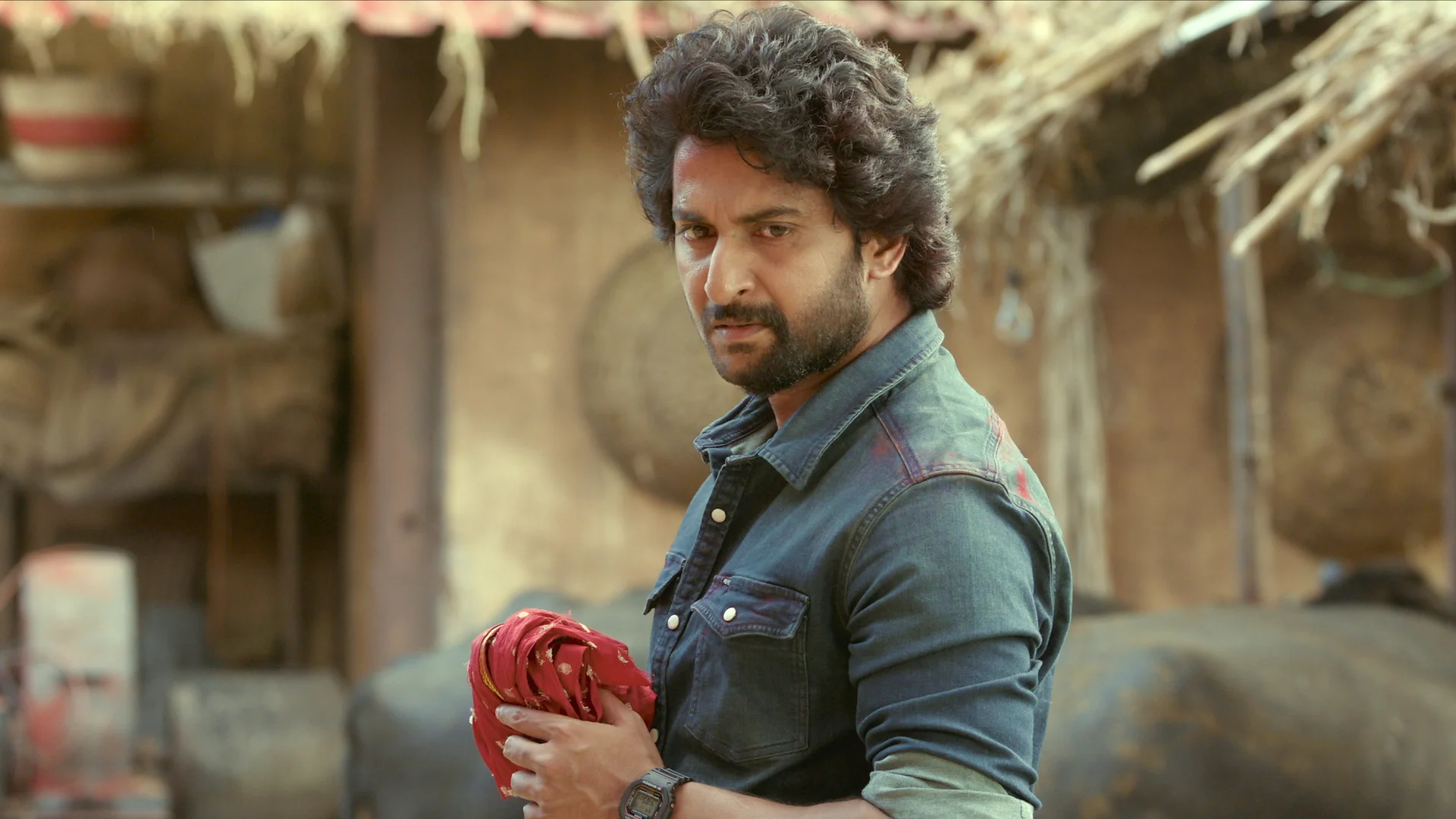 Saripodhaa Sanivaaram