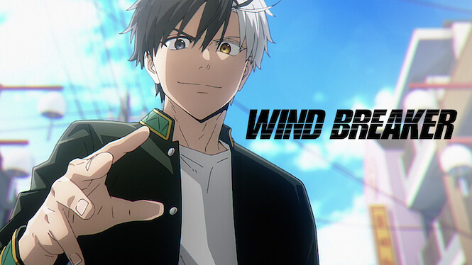Wind Breaker