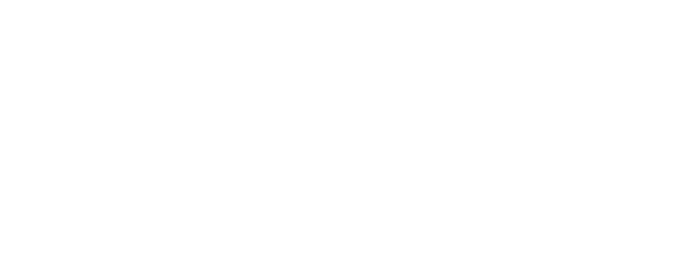 Santo Forte logo