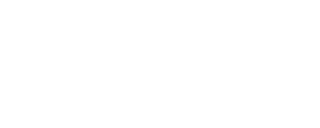Santo Forte logo