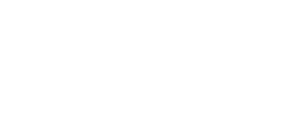 Insane logo