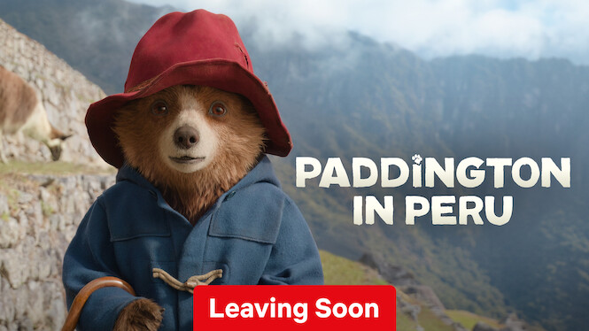 Paddington in Peru