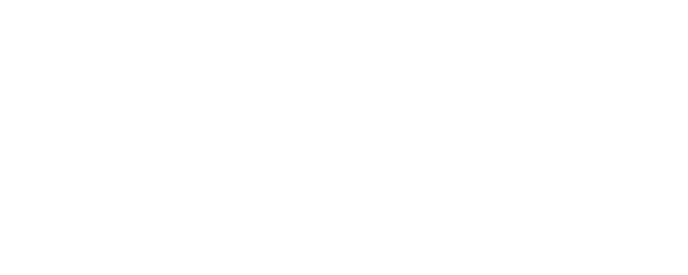 The Romantic President logo