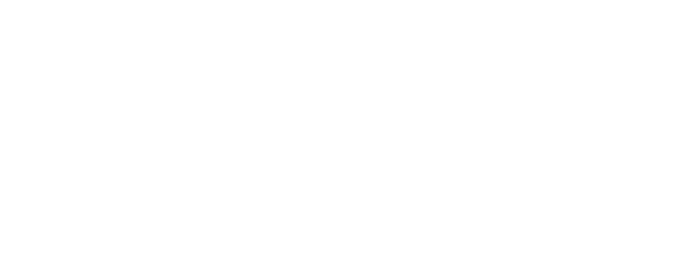 Holy Punch logo
