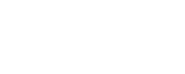 The Rebel Princess logo