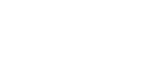 The Rebel Princess logo