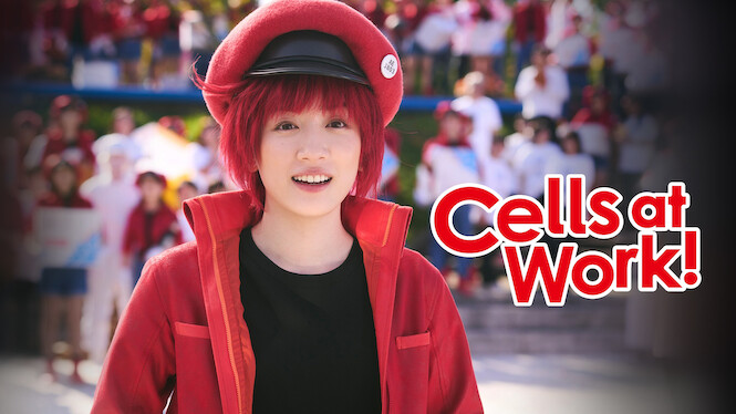 Cells At Work!