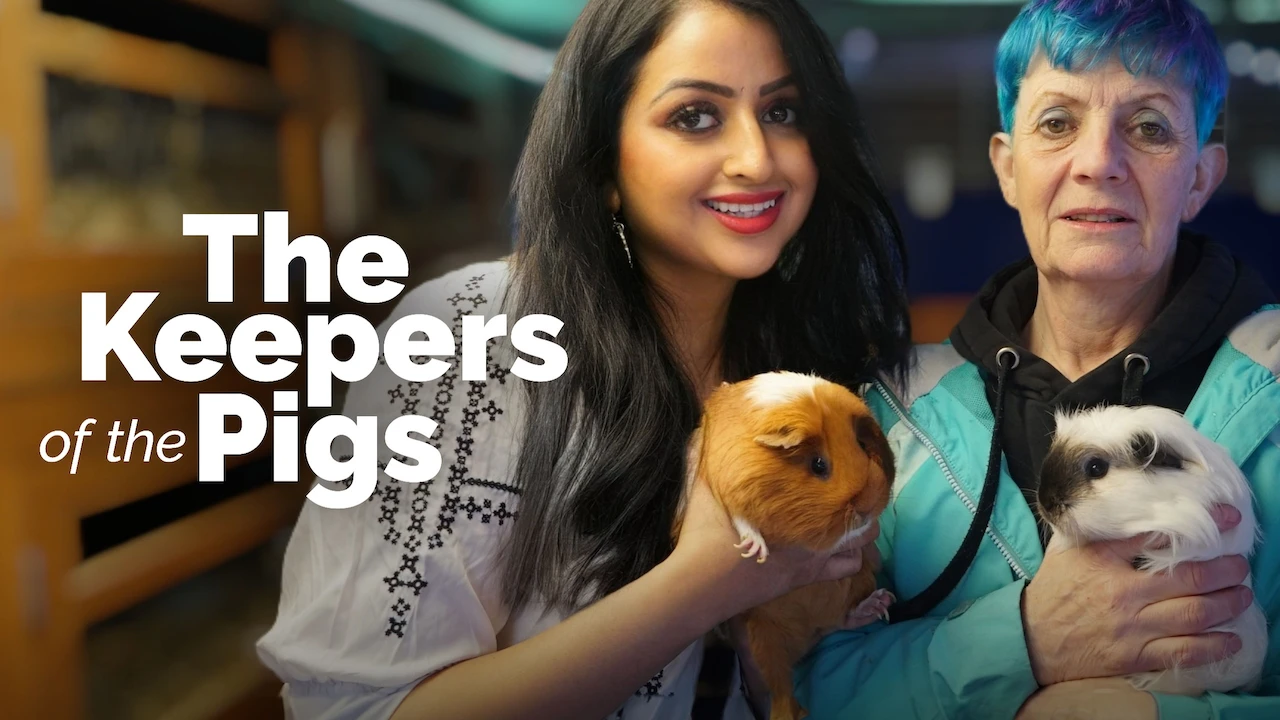 The Keepers of the Pigs
